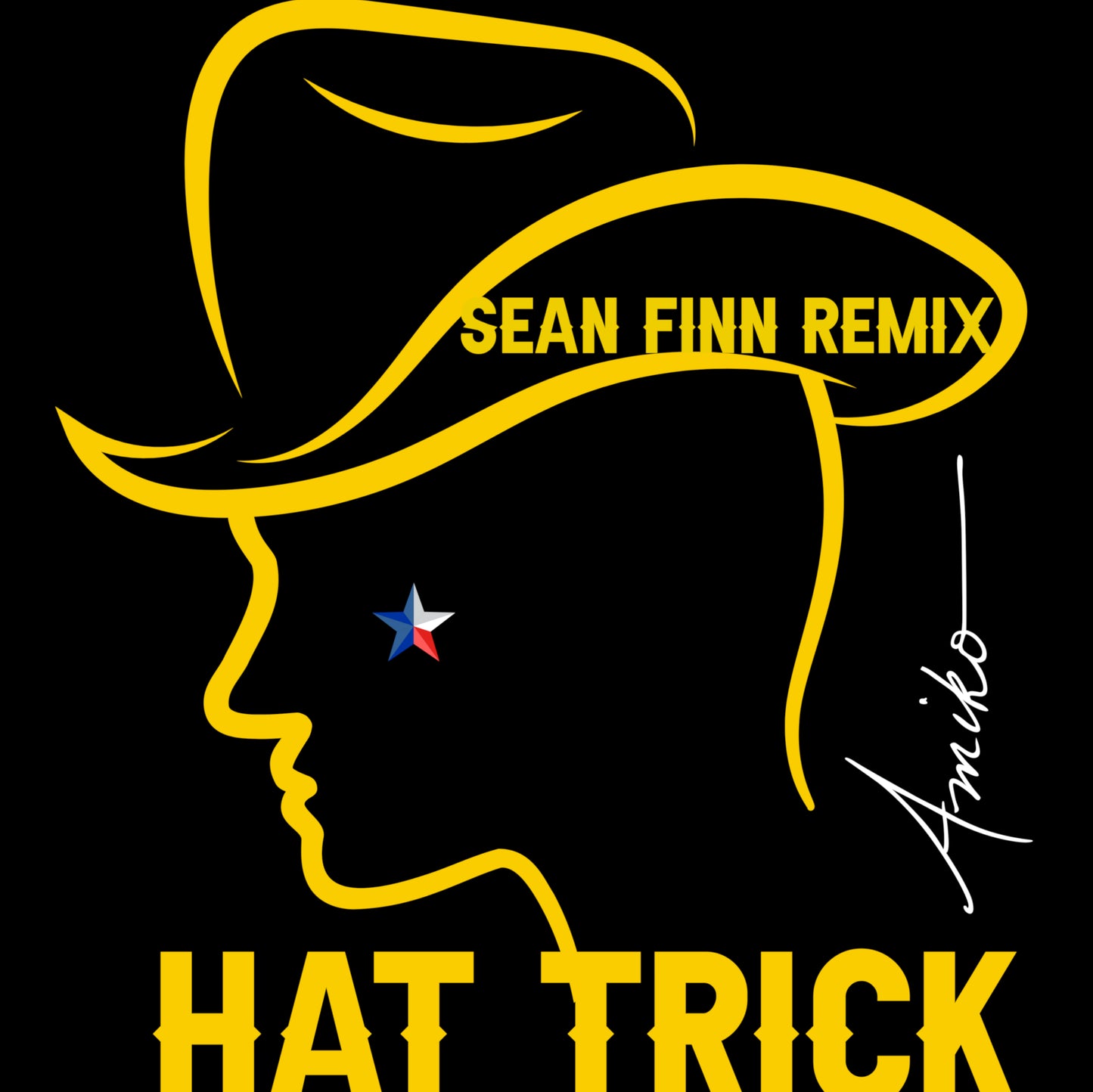 Hat Trick Sean Finn Remix - Radio Edit - Digital Single - WEBSITE EXCLUSIVE