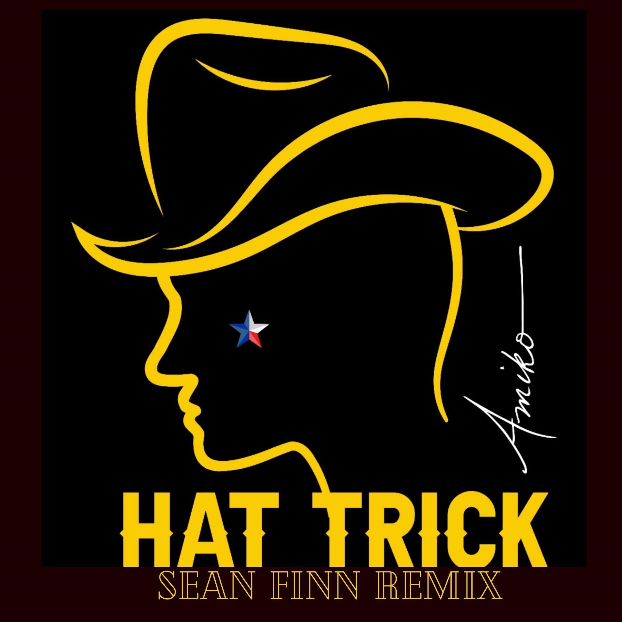 21 Hat Trick Sean Finn Remix - Radio Edit - Digital Single - Image 1