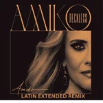 Reckless, Latin Extended Remix