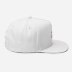 Amiko Ikigai Snap Back Hat - Image 24