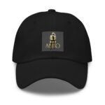 Amiko Japan Origins Story Dad Hat