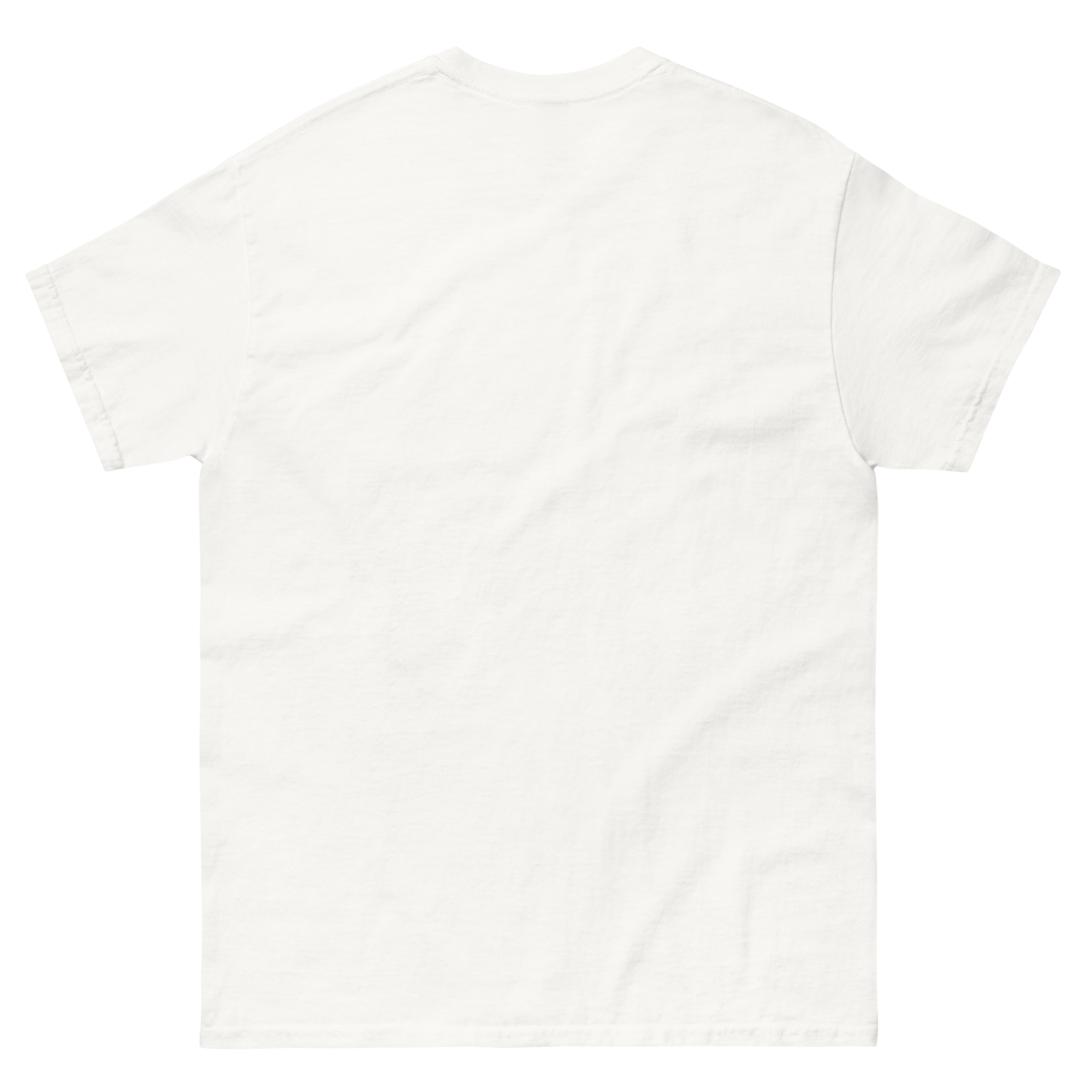 unisex-classic-tee-white-back-6a8157d575f45.png Amiko's Classic White HT T-Shirt - Image 1